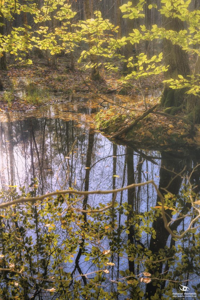 matena moments / Natur