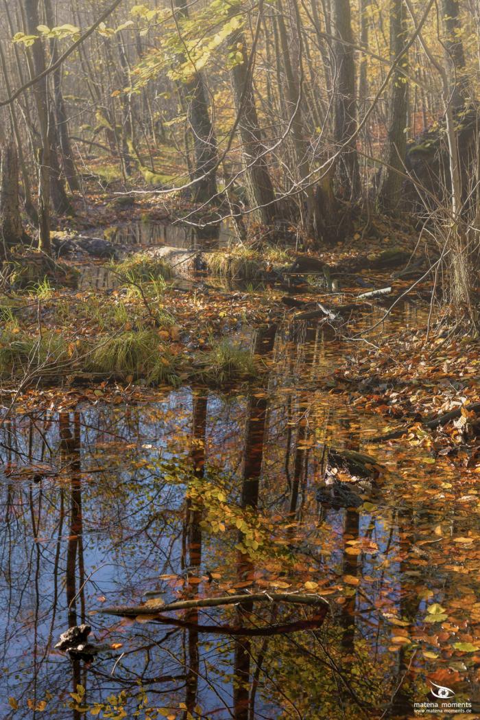 matena moments / Natur