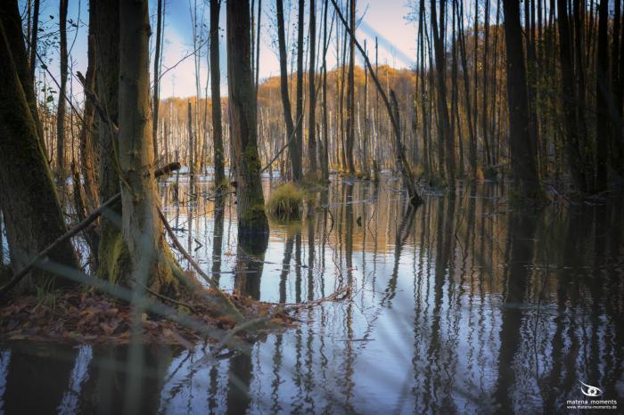 matena moments / Natur