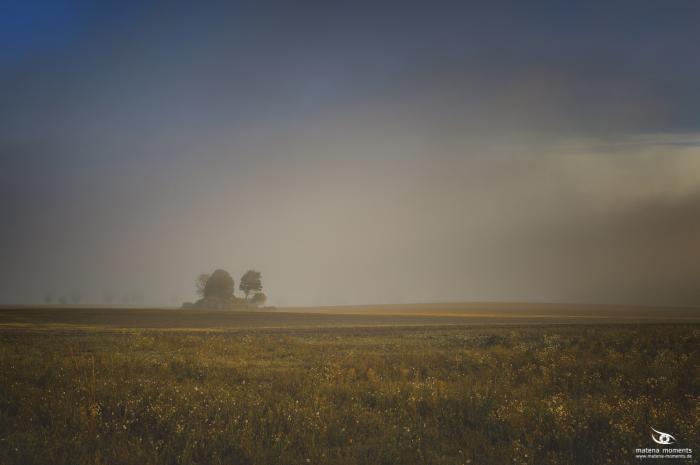 matena moments / Natur