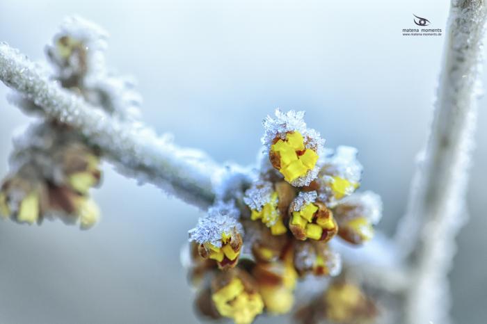 matena moments / Natur