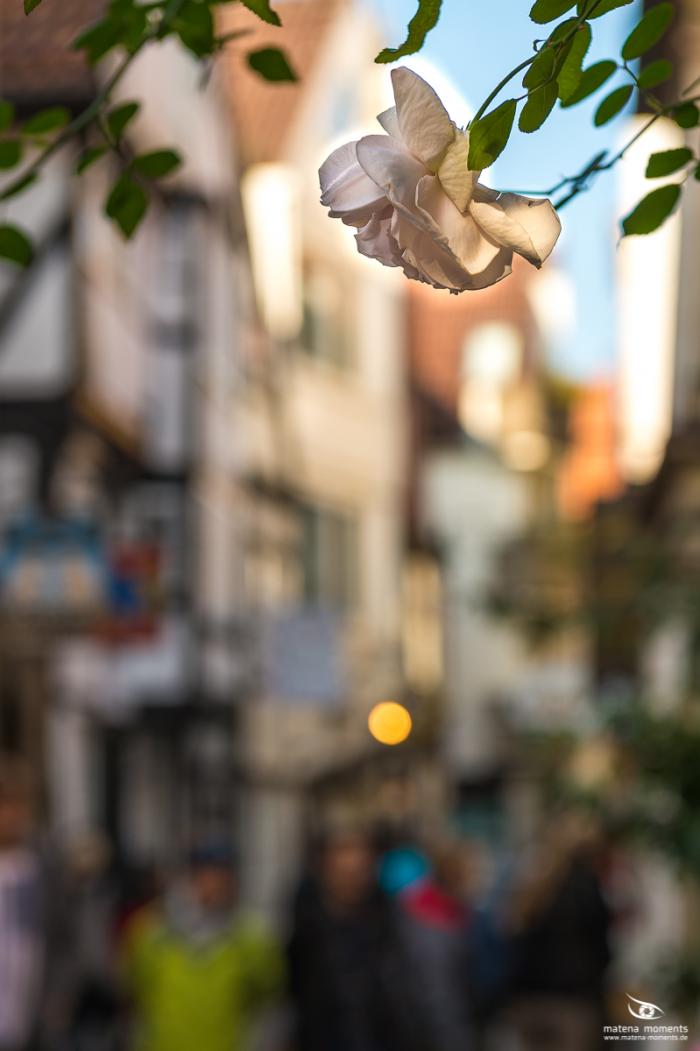 matena moments / Bremen