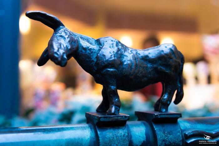 matena moments / Bremen