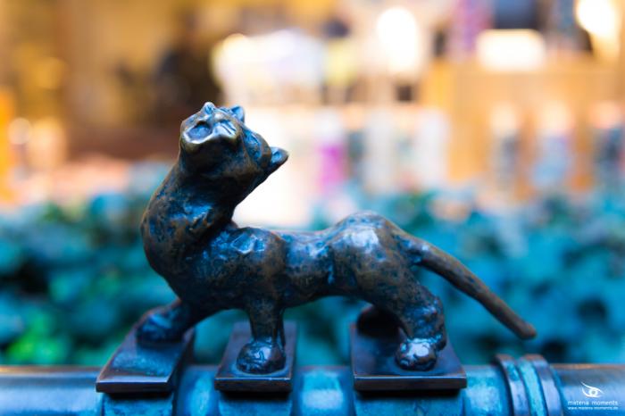 matena moments / Bremen