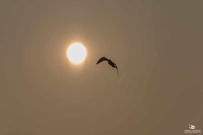 matena moments / Bremen