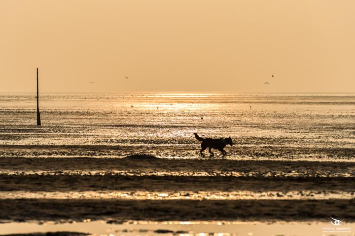 matena moments / Bremen