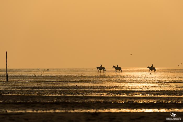 matena moments / Bremen