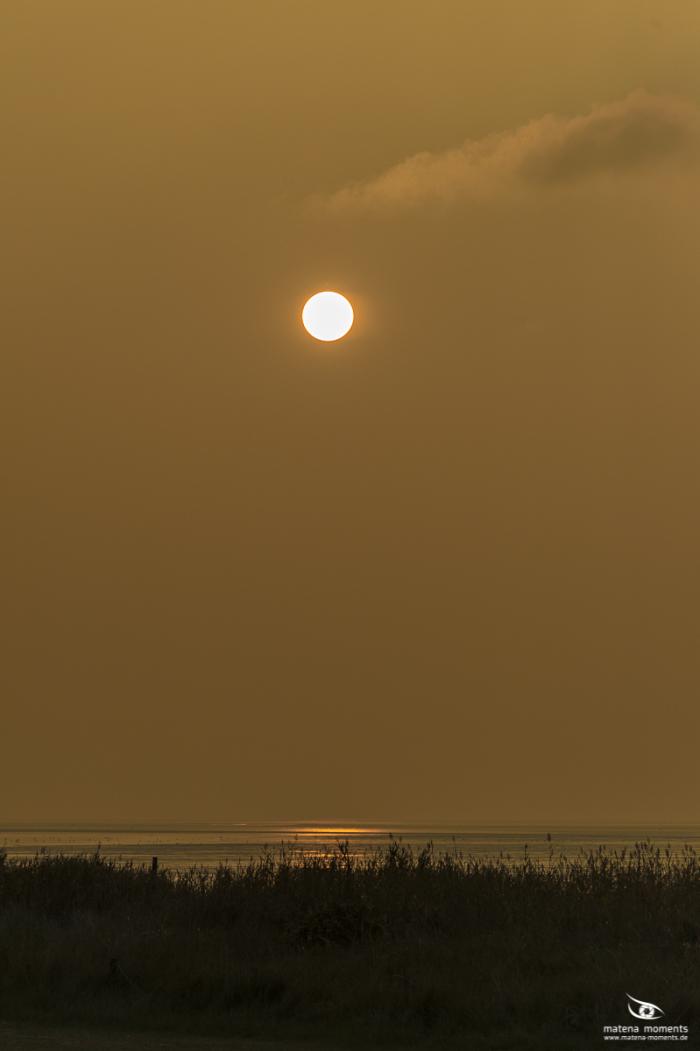 matena moments / Bremen