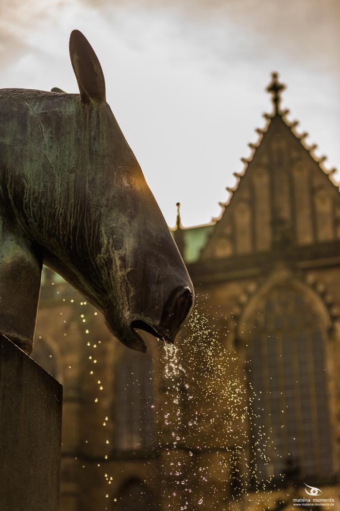 matena moments / Bremen