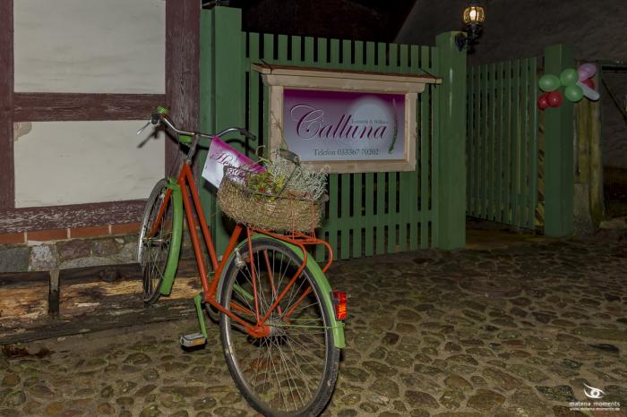 matena moments / Business