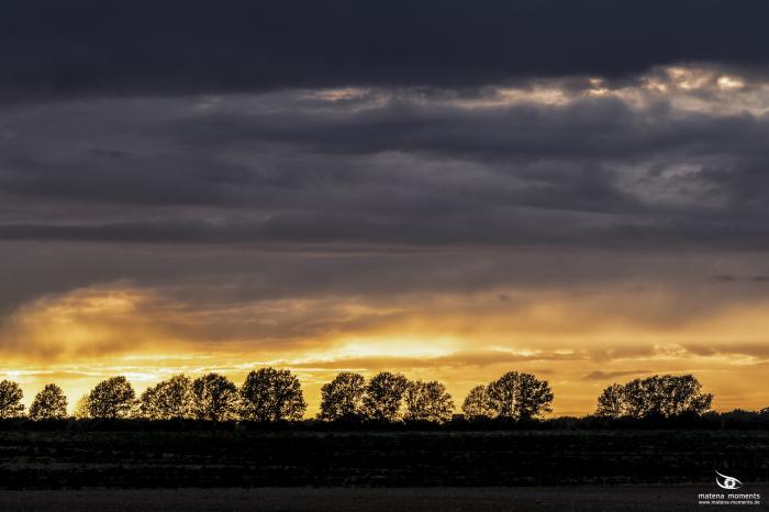 matena moments / Eberswalde