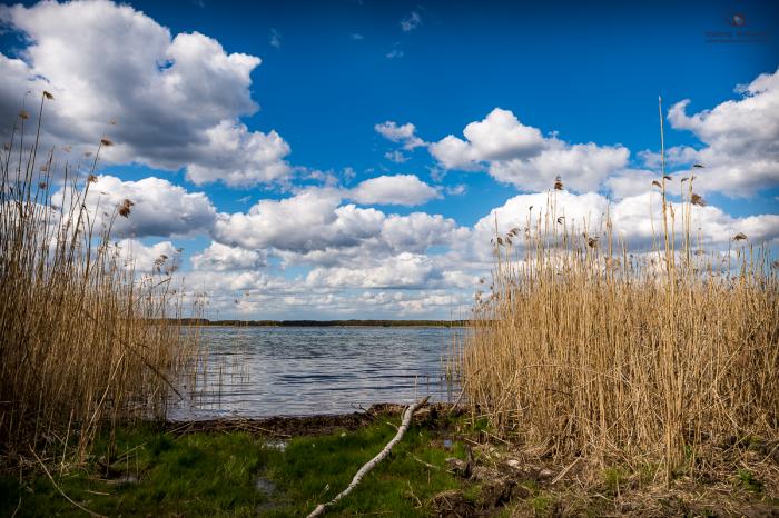 matena moments / Eberswalde