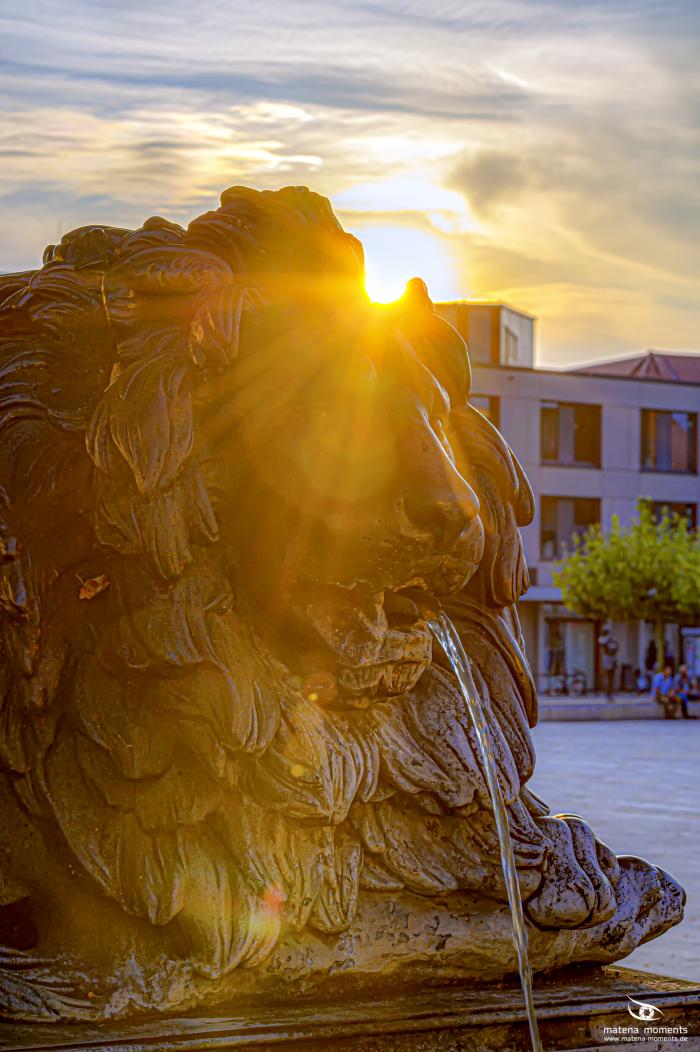 matena moments / Eberswalde