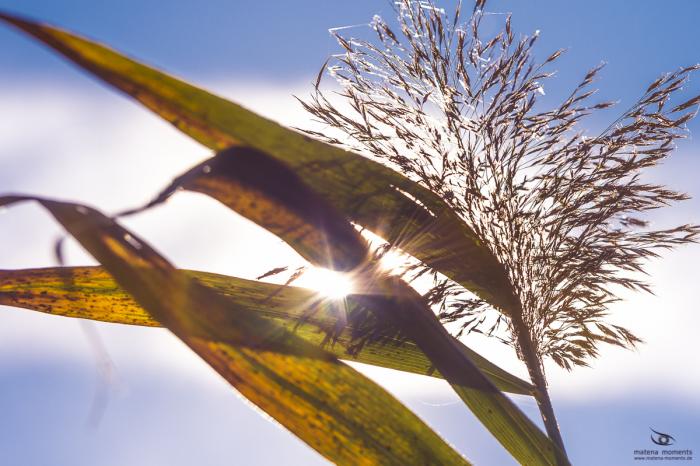 matena moments / Eberswalde