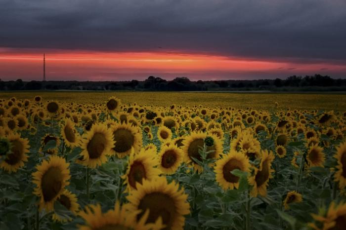 matena moments / Eberswalde