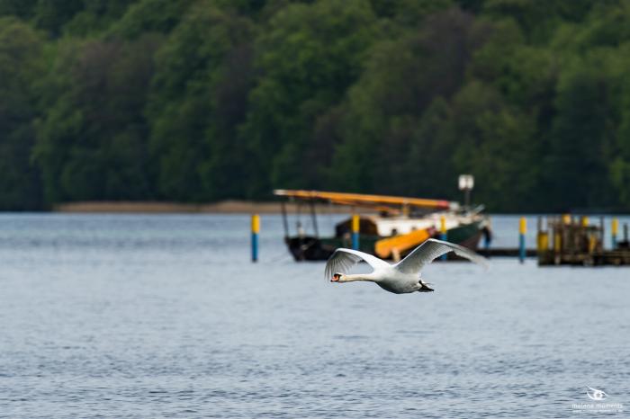 matena moments / Eberswalde