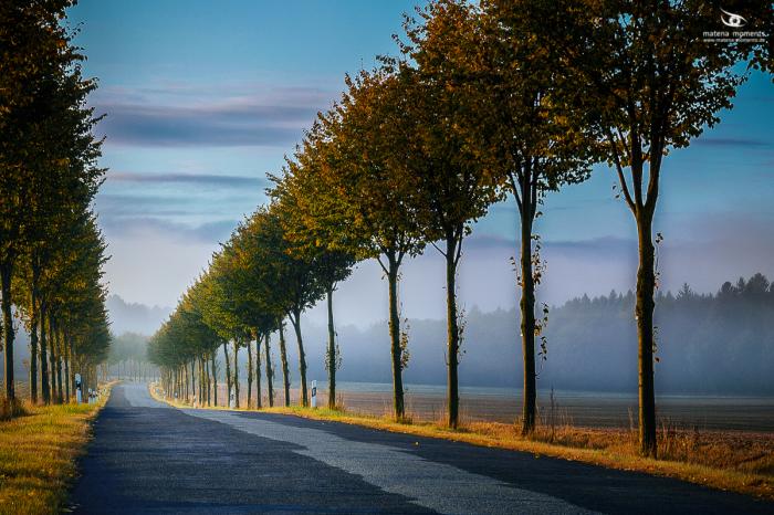 matena moments / Eberswalde