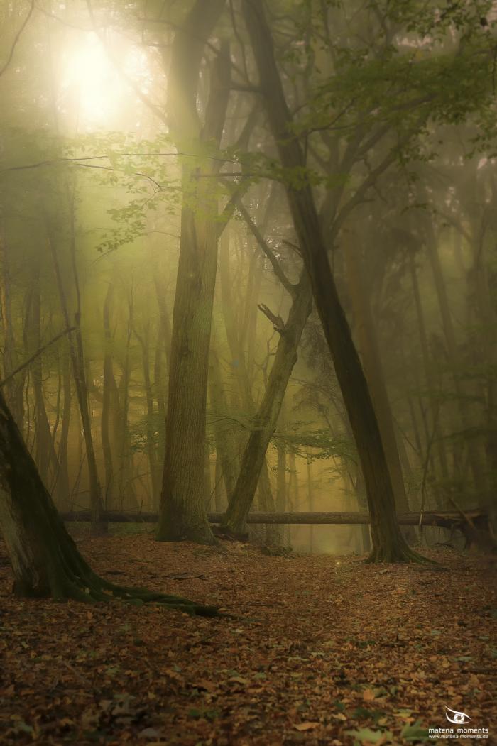 matena moments / Eberswalde