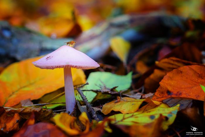 matena moments / Eberswalde