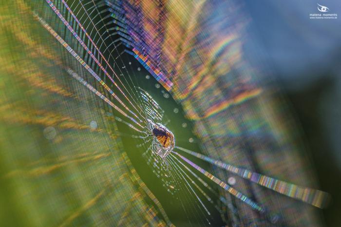 matena moments / Eberswalde