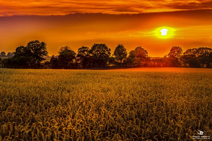 matena moments / Eberswalde