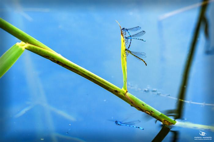 matena moments / Eberswalde