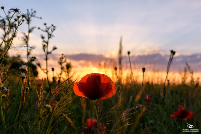 matena moments / Eberswalde