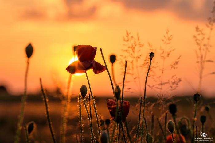 matena moments / Eberswalde