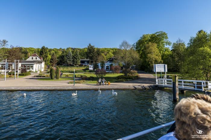 matena moments / Business