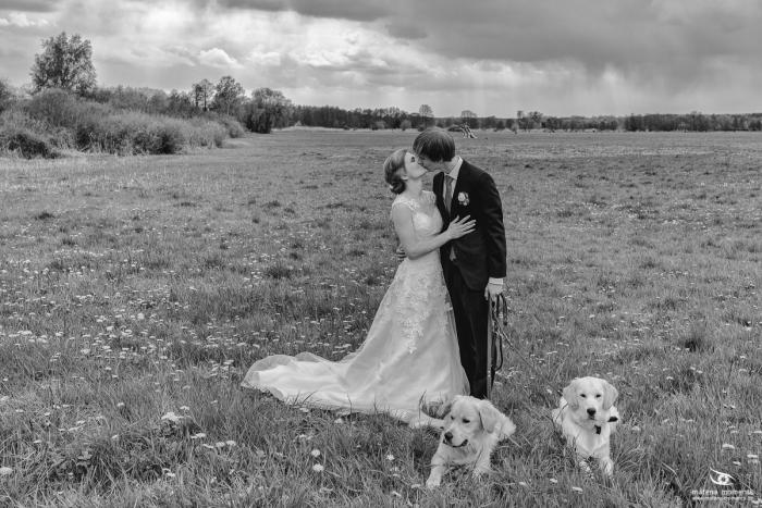 matena moments / Hochzeit