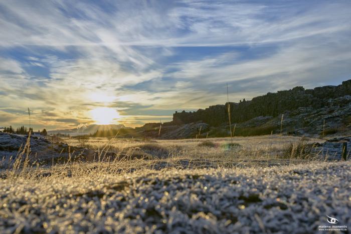 matena moments / Island