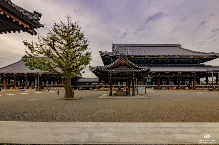 matena moments / Japan