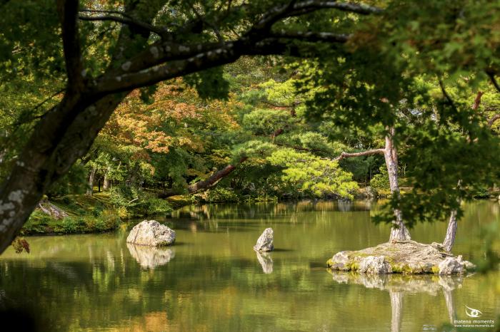 matena moments / Japan