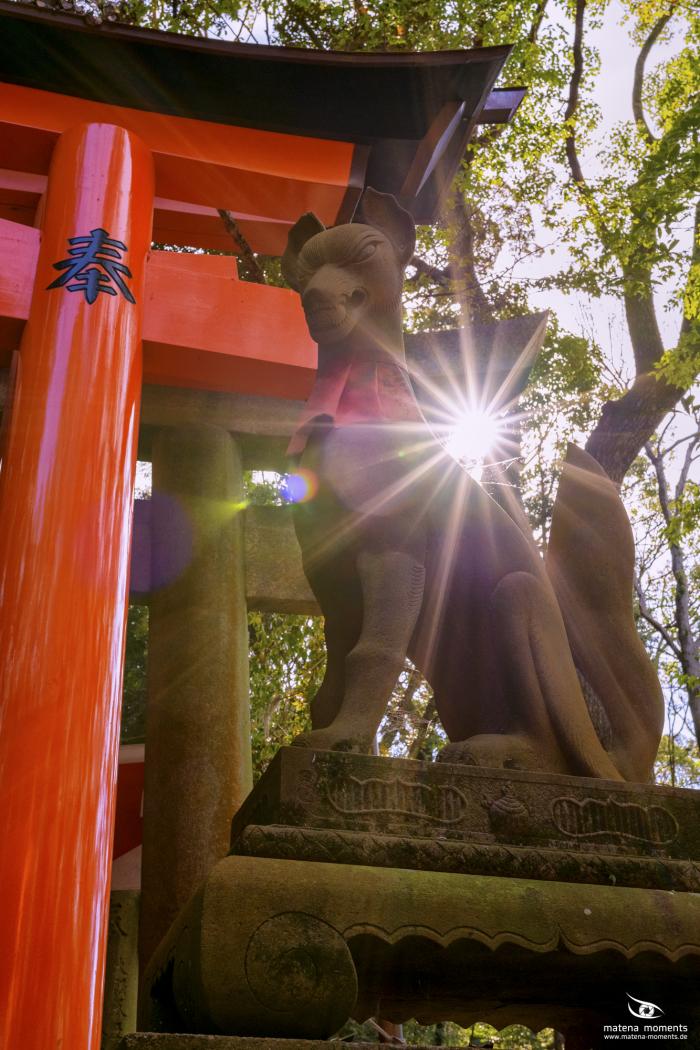 matena moments / Japan