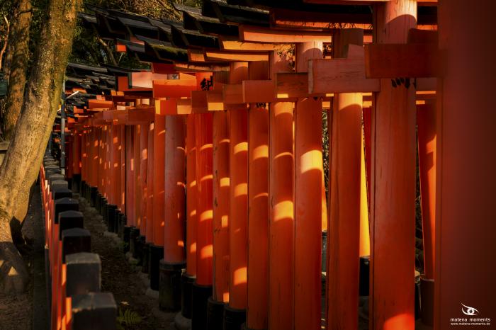 matena moments / Japan