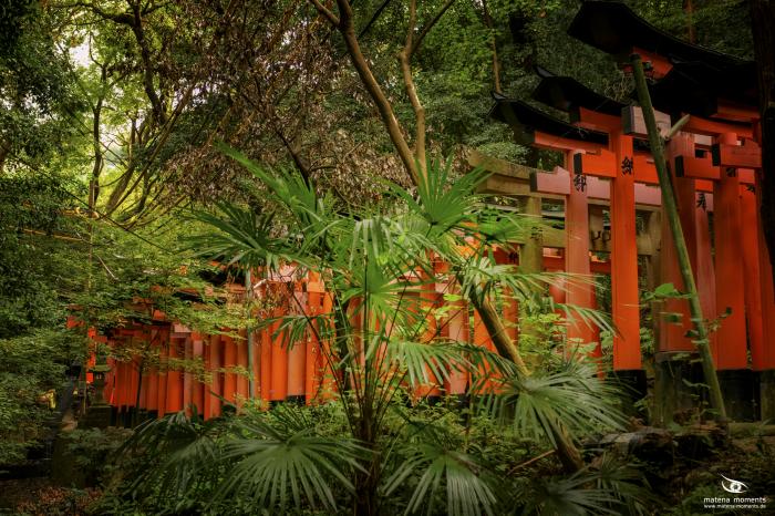 matena moments / Japan