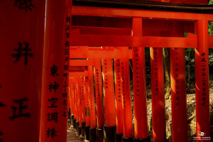 matena moments / Japan