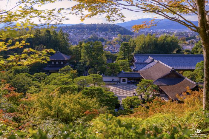 matena moments / Japan