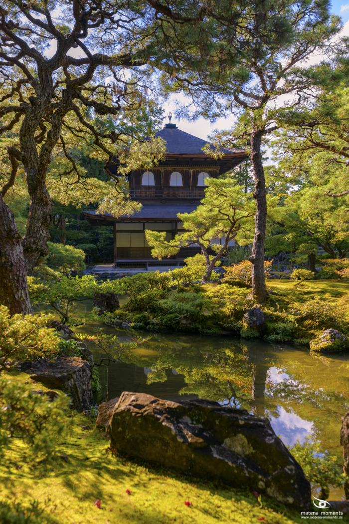 matena moments / Japan