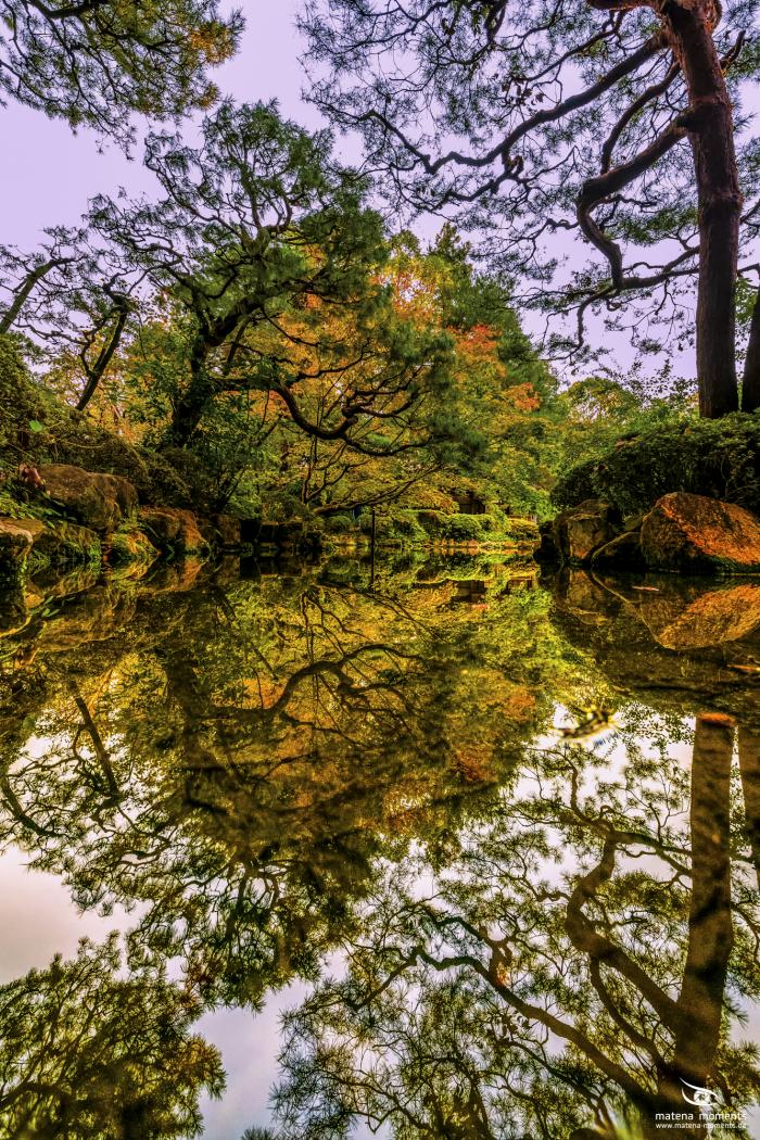 matena moments / Japan