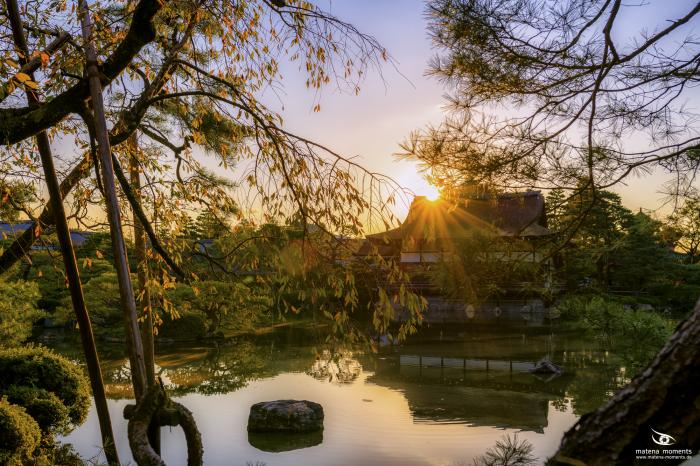 matena moments / Japan