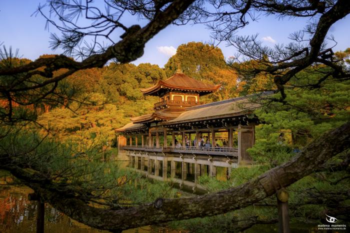 matena moments / Japan