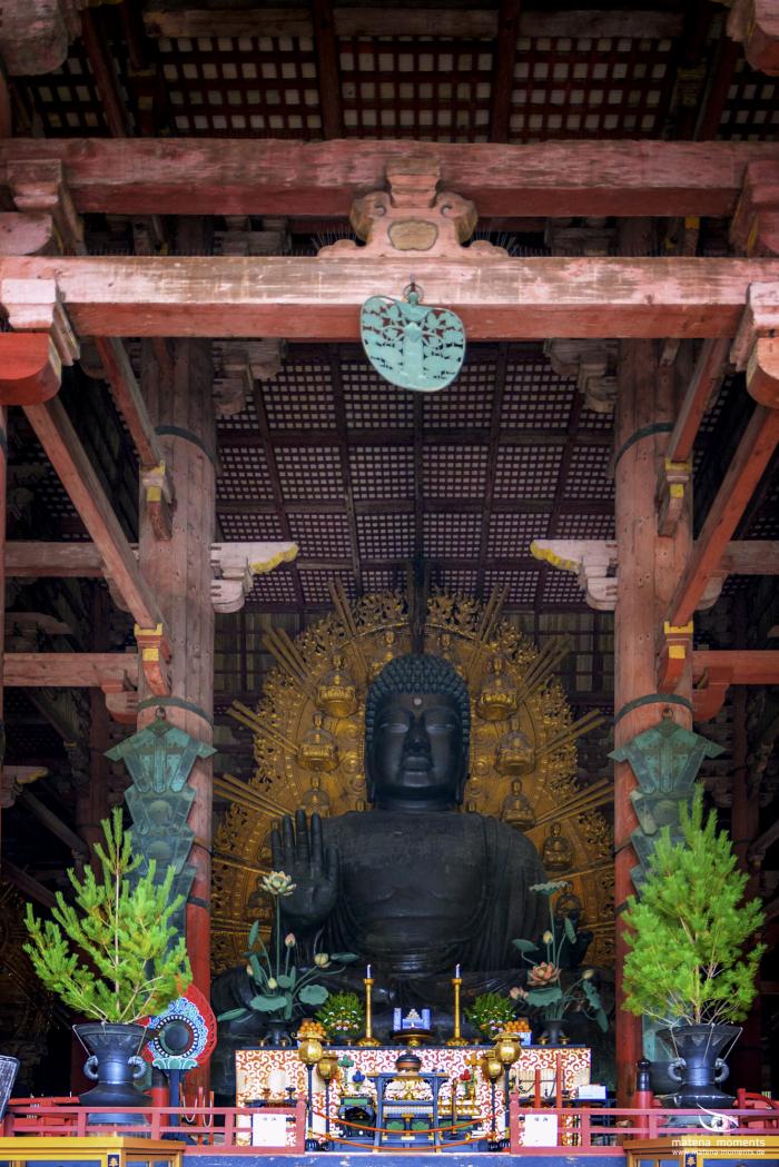 matena moments / Japan