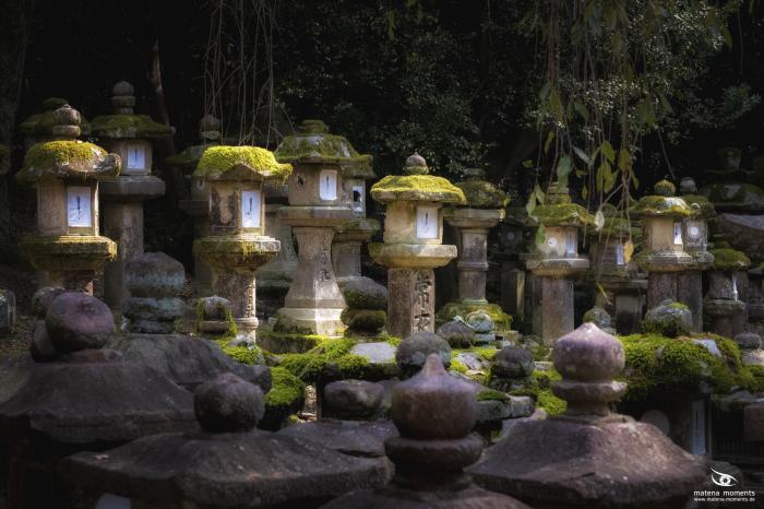 matena moments / Japan