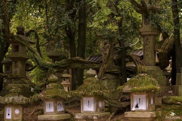 matena moments / Japan