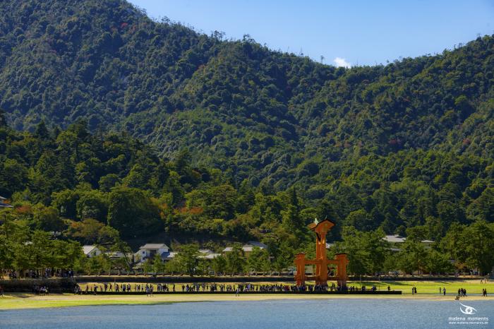 matena moments / Japan