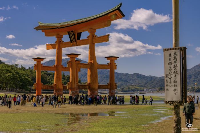 matena moments / Japan