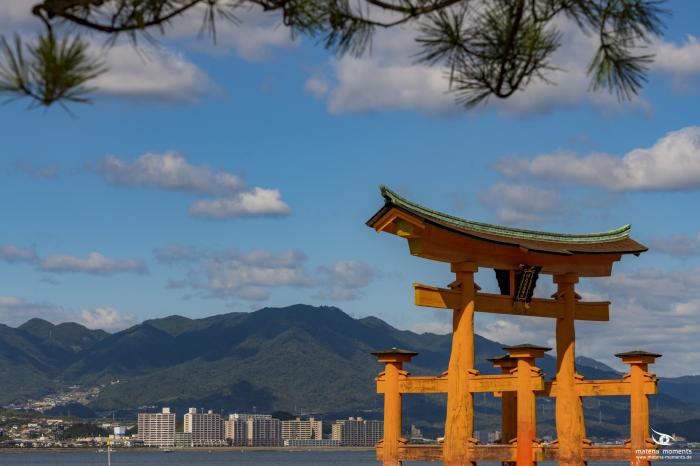 matena moments / Japan