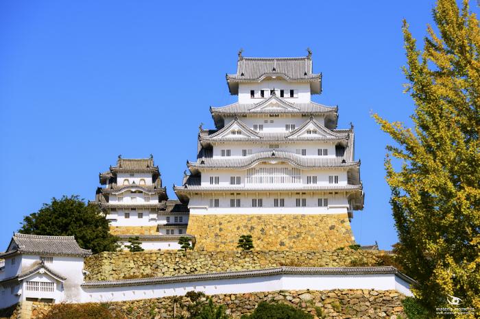 matena moments / Japan