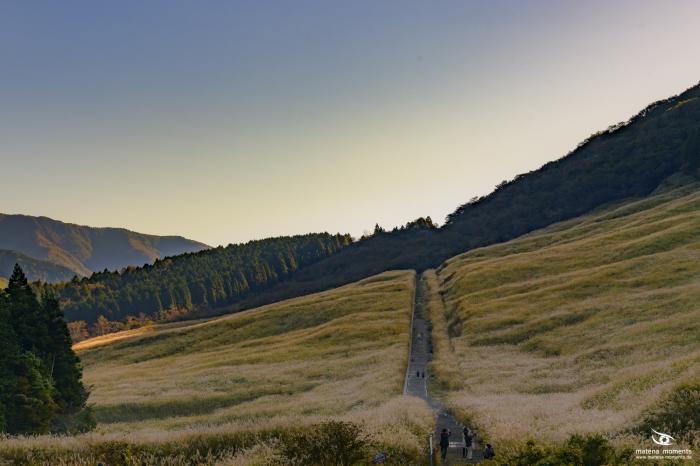 matena moments / Japan